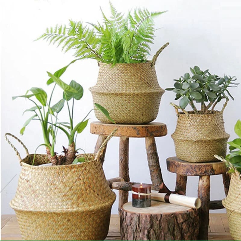 Panier Cache-Pot Osier Intérieur