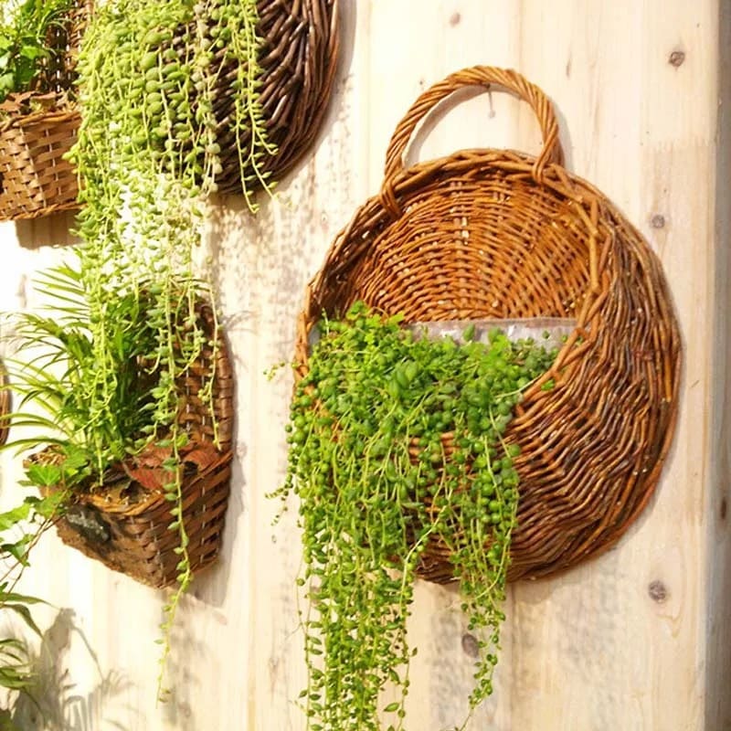 Panier Mural Osier Succulentes