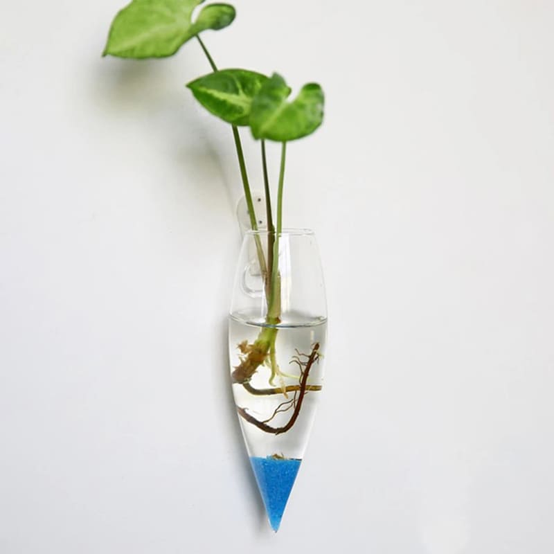 Petits Vases Muraux Intérieur