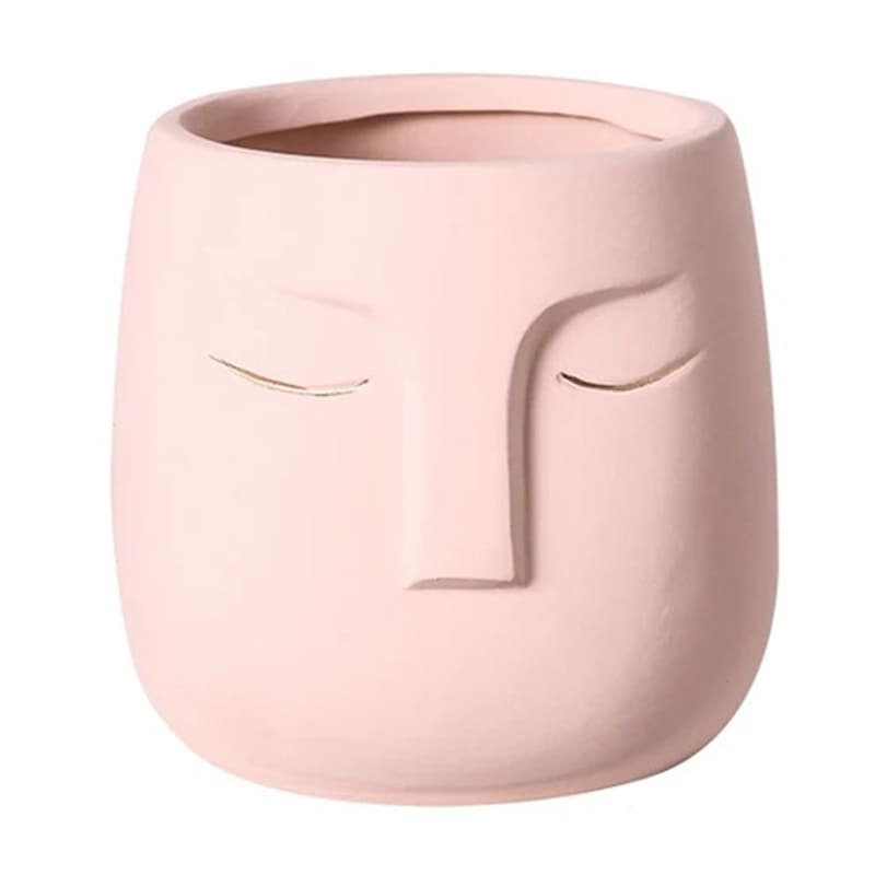 Pot de Fleur Visage Rose