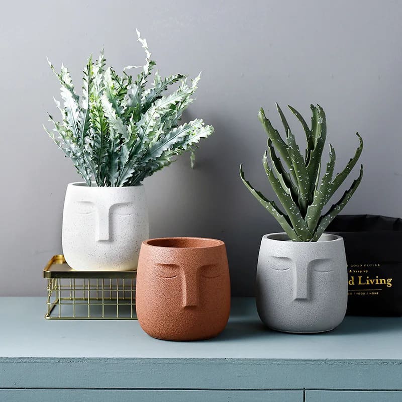 Pot de Fleur Visage Vase