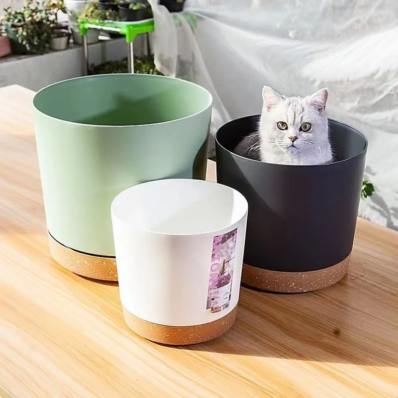 Pot de Fleur en Plastique Plante