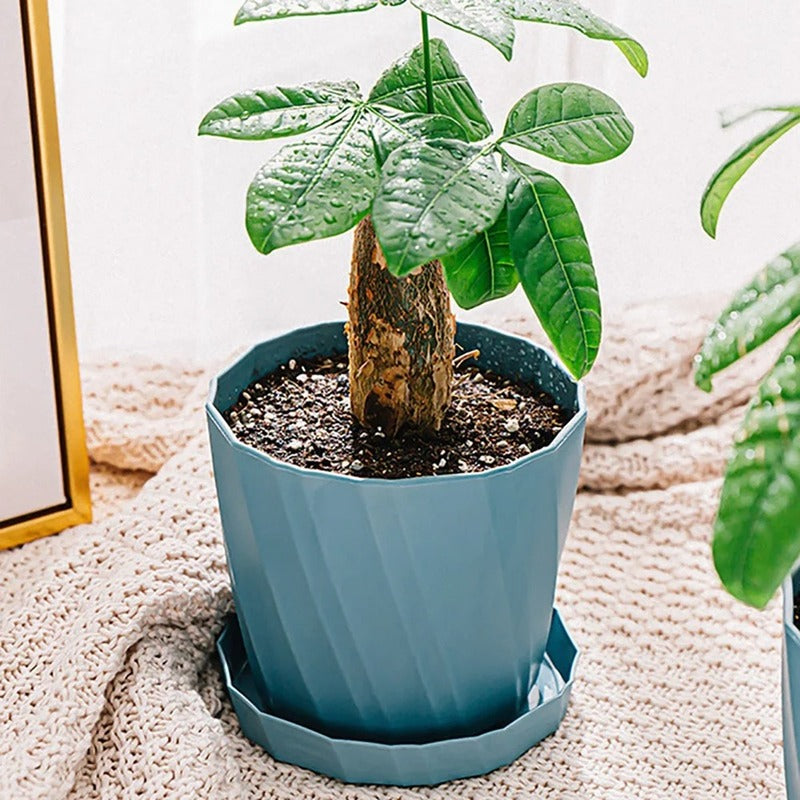 Pot en Plastique pour Plante Design