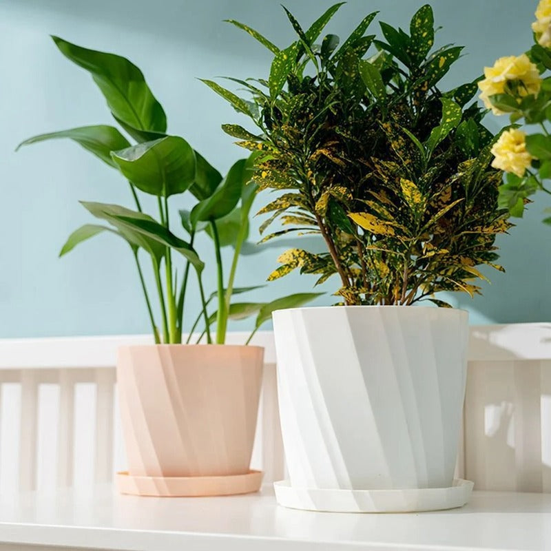 Pot en Plastique pour Plante