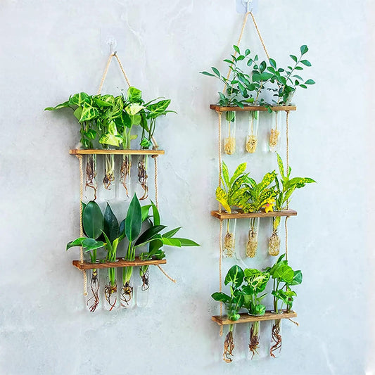 Soliflore Suspendu Mural