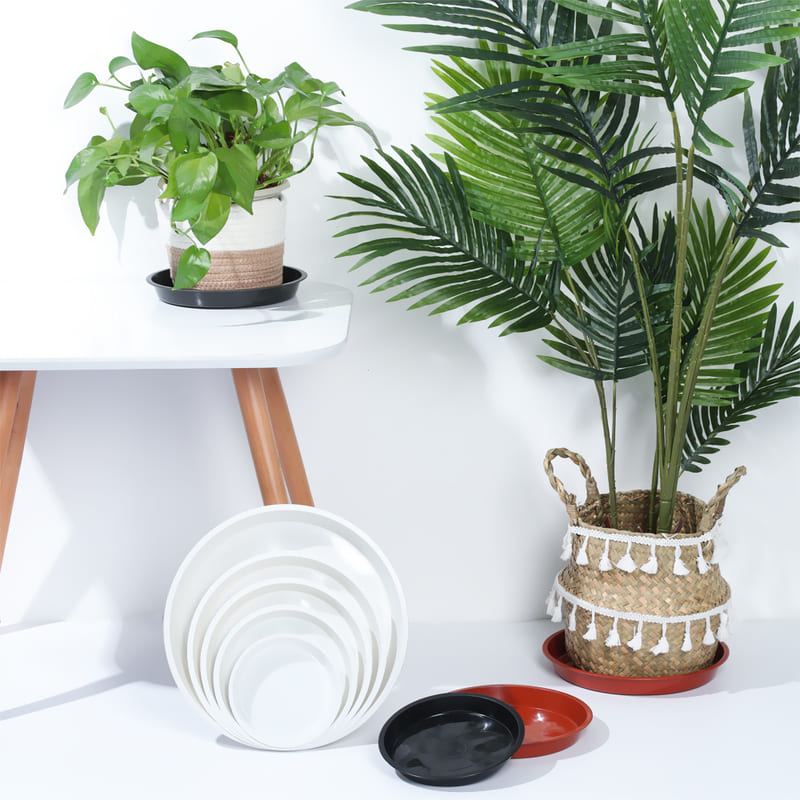 Soucoupes Pots de Fleurs Intérieur