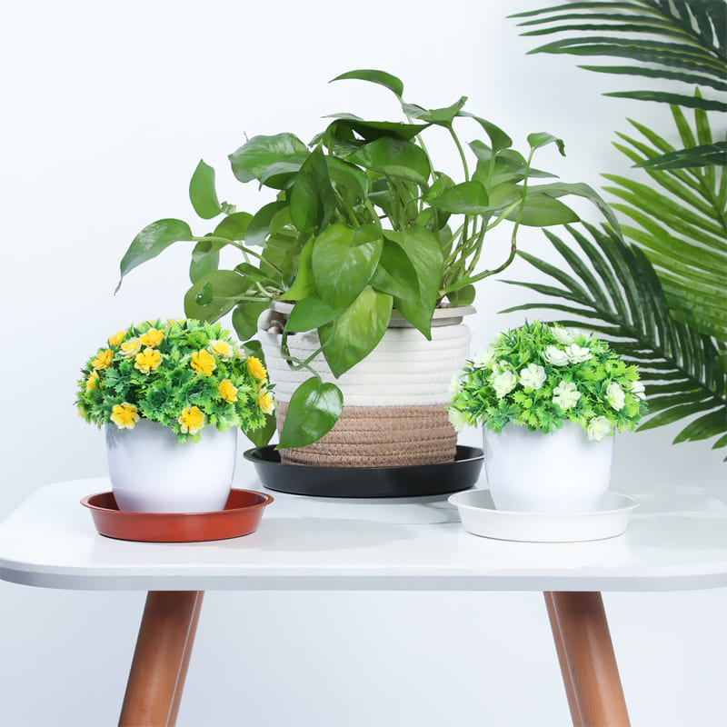 Soucoupes Pots de Fleurs Vase