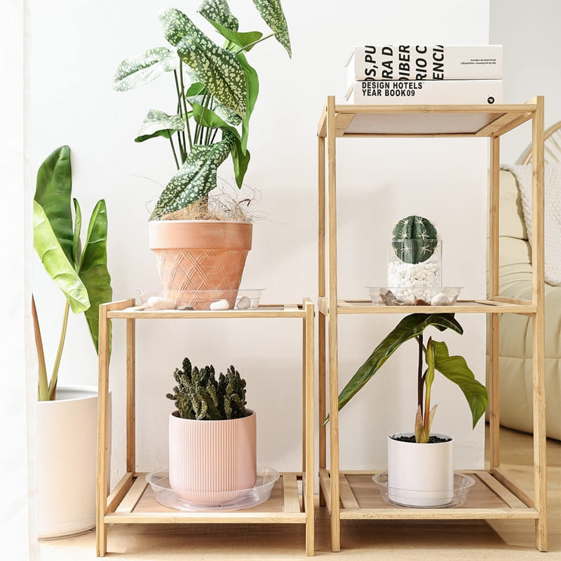 Soucoupes Transparentes Pot de Fleur