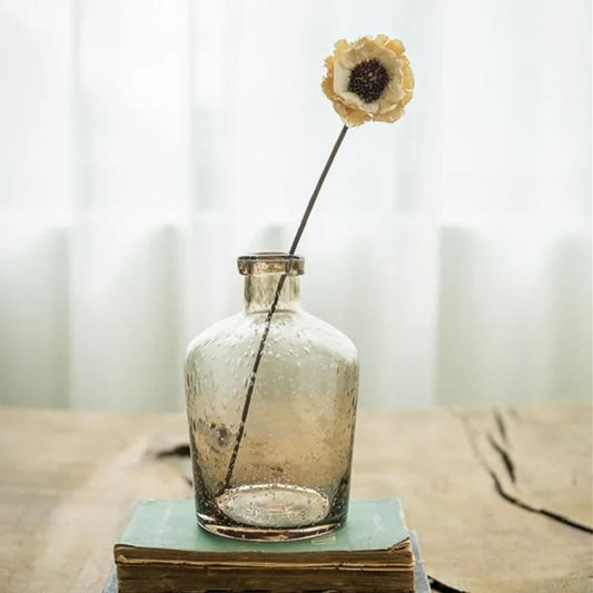 Vase Dame Jeanne Pampa Verre