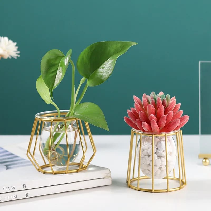 Vase Hydroponique Moderne