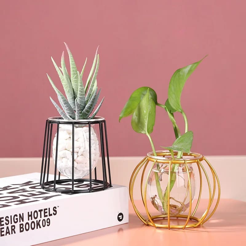 Vase Hydroponique Petit