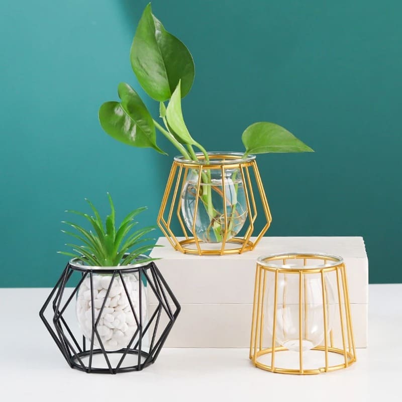 Vase Hydroponique Soliflore
