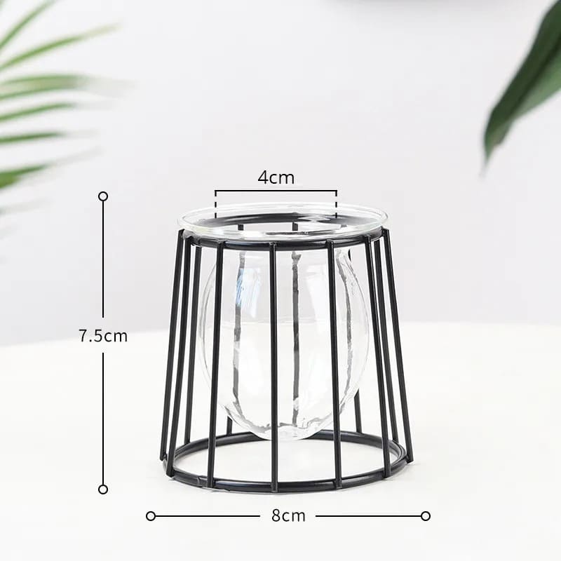 Vase Hydroponique en Verre