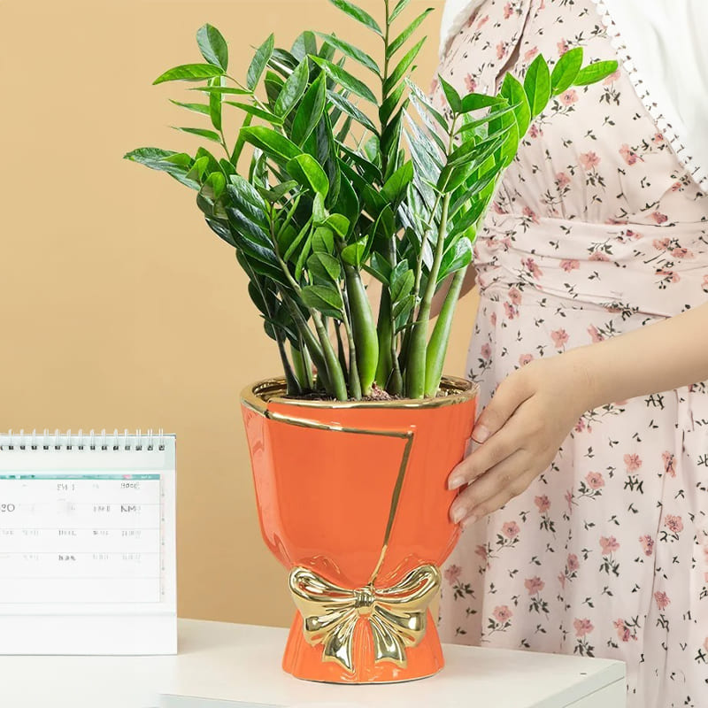 Vase Nœud Papillon Plante