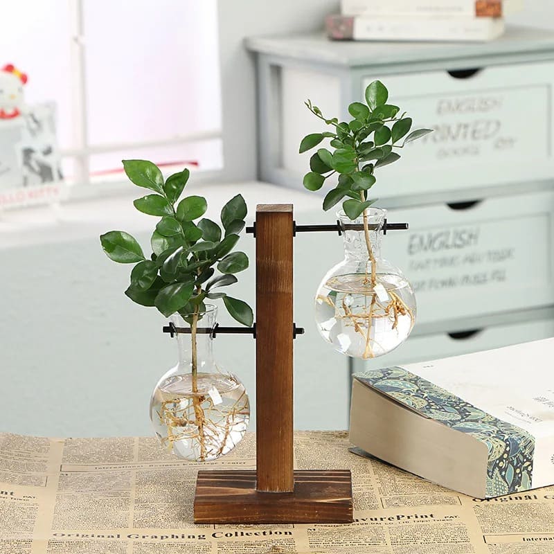 Vase Plante Hydroponique Soliflore