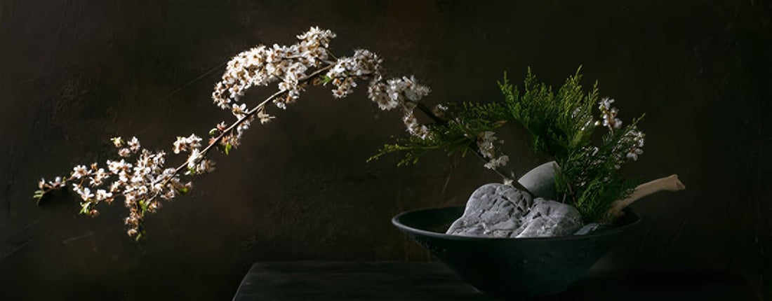 Qu'est-ce que l'Ikebana ? - L'art Floral Japonais