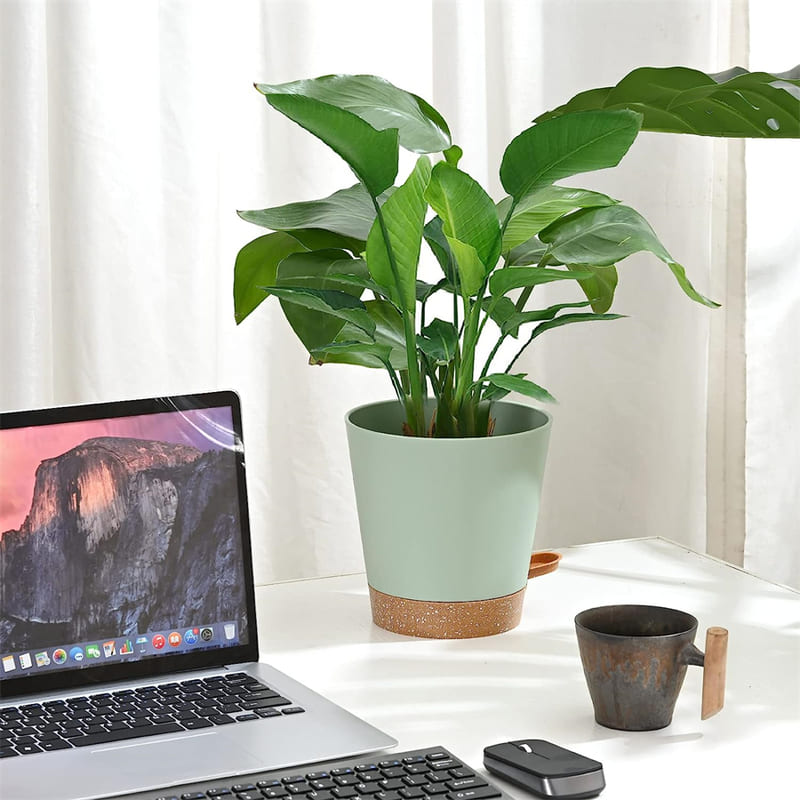 5 Pots de Fleur à Réserve d'Eau Bureau