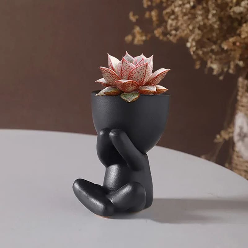 Petit Bonhomme en Pot de Fleur Plante