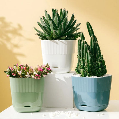 Petit Pot de Fleur en Plastique Carré Design