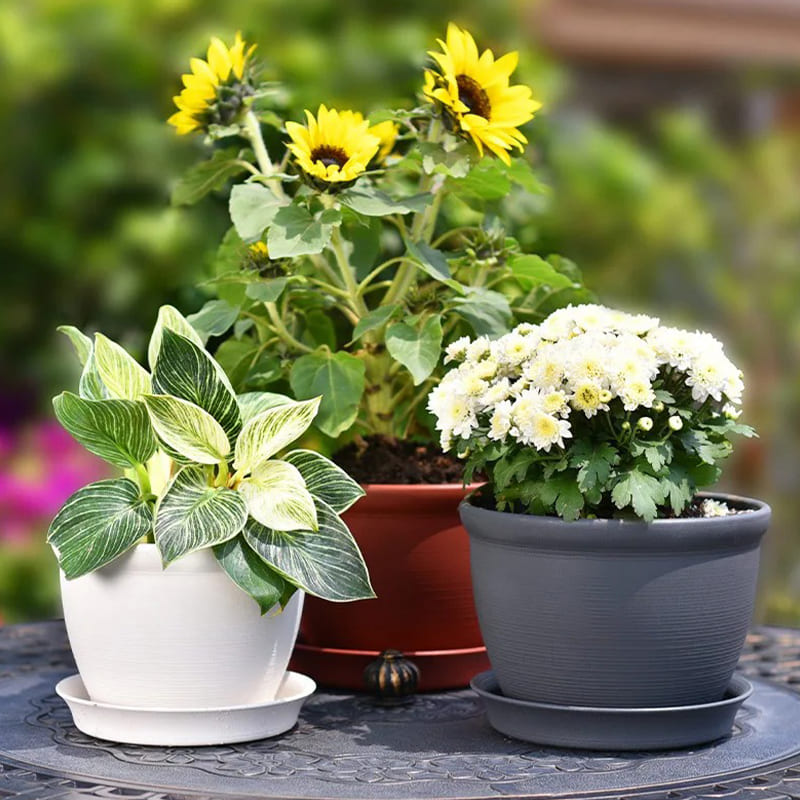 Petit Pot de Fleur en Plastique Fleurs