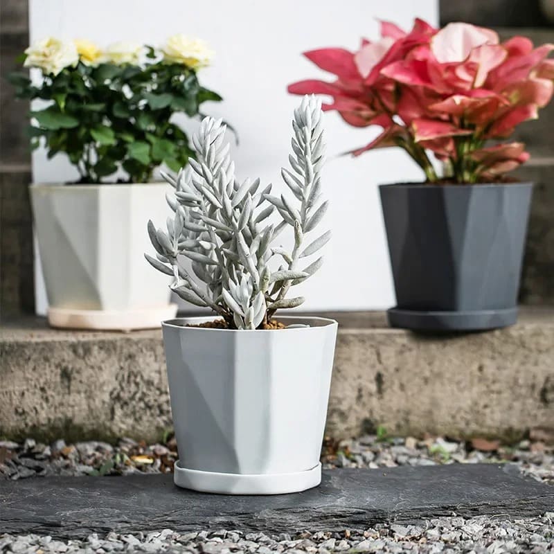 Petit Pot de Fleur en Plastique Rond Design Extérieur