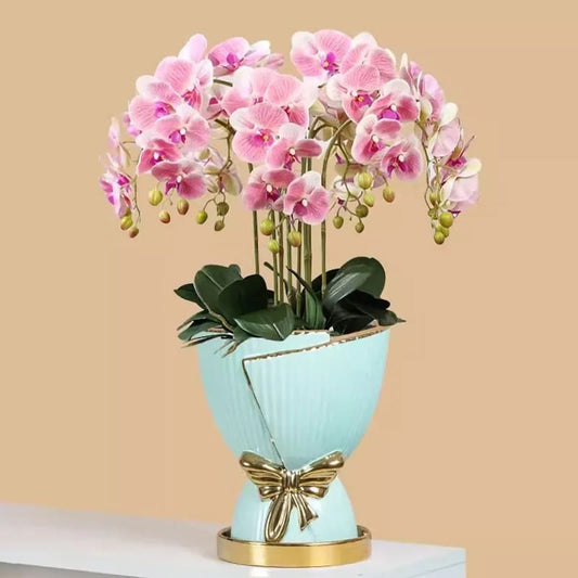 Vase pour Orchidée Pot